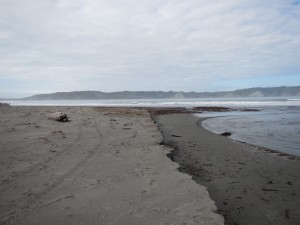 Mahia - Lake Waikaremoana - Gisborne-004